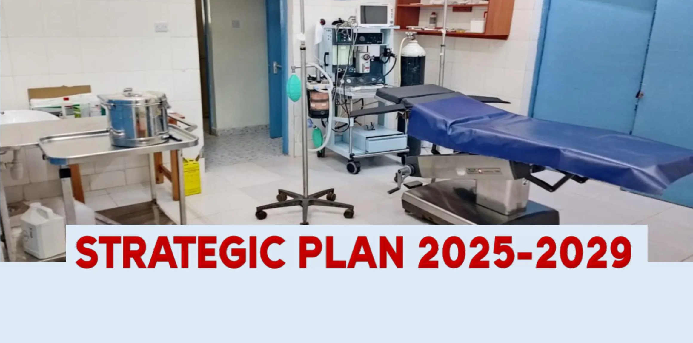 Strategic Plan